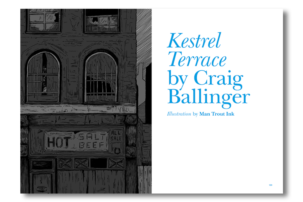 Kestrel Terrace in Issue Two