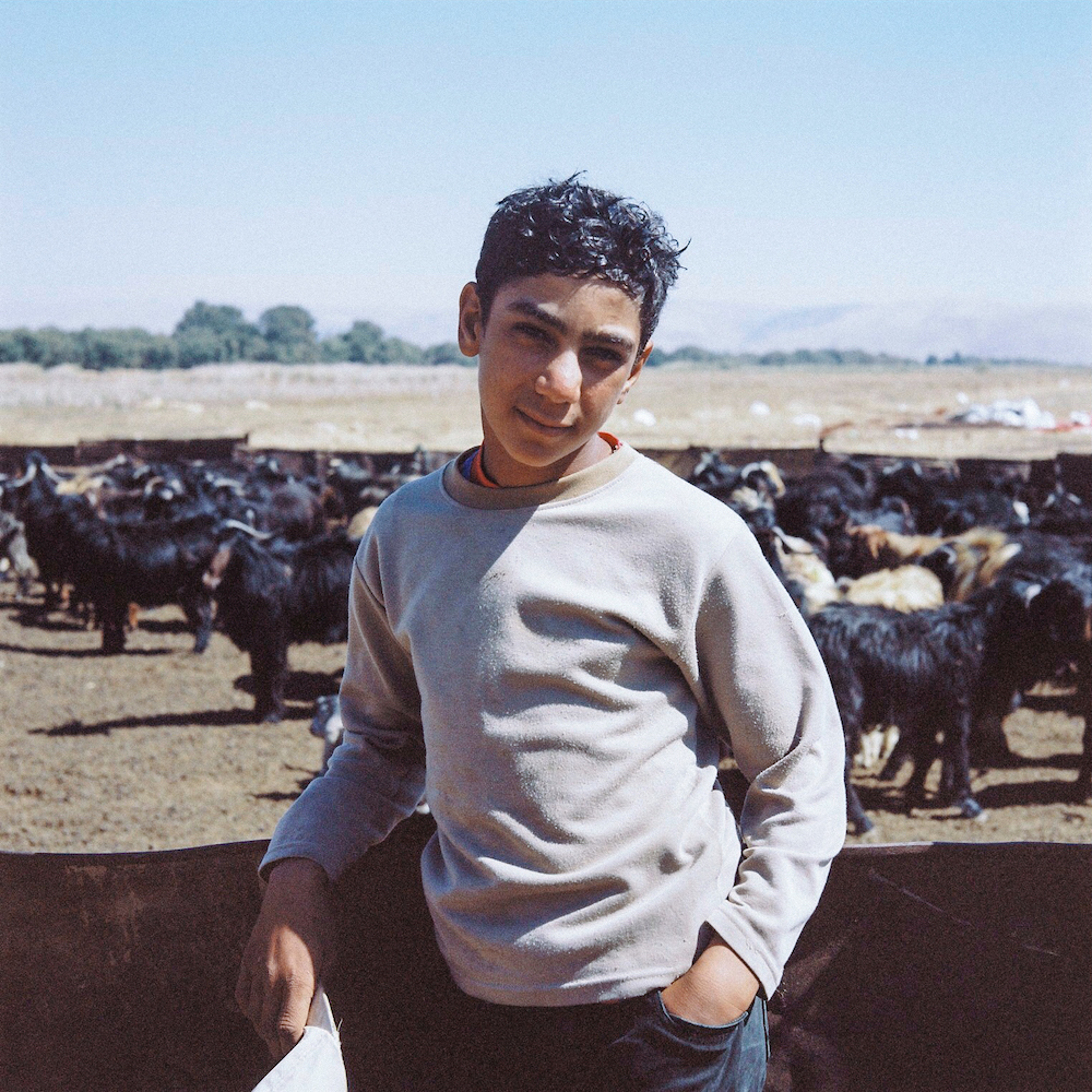 Shepherd near Khiara, Bekaa Valley, Lebanon